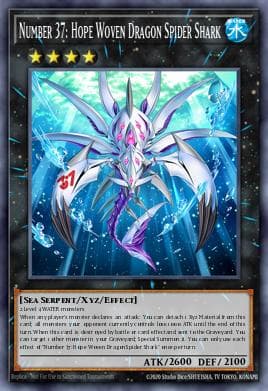 Number 37: Hope Woven Dragon Spider Shark