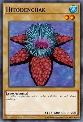 Hitodenchak